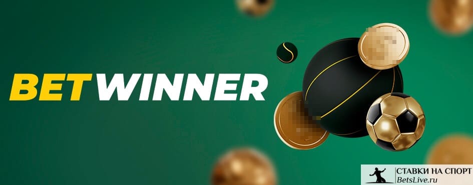 Discover the Excitement of Betwinner Casino