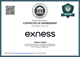 Unlocking Potential with the Exness Trading API
